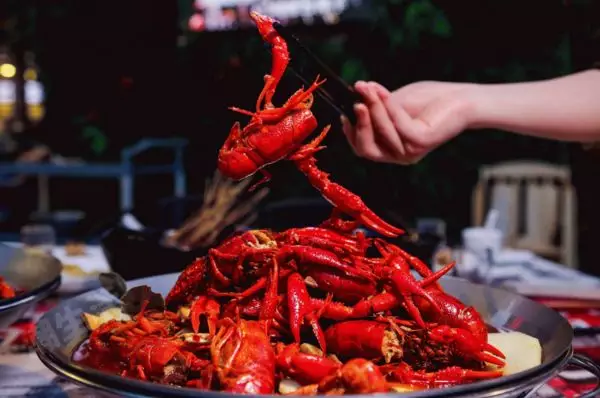 潛江小龍蝦竟搶早1個月上市！塊頭雖大口感品質(zhì)欠佳