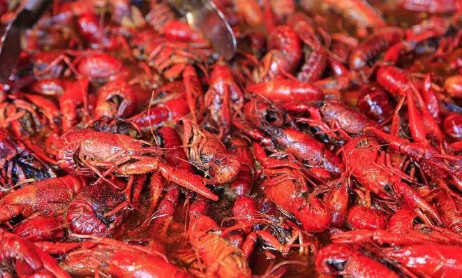 小龍蝦大戰(zhàn)開幕，看看京東、天貓、國(guó)聯(lián)、信良記、安井都是如何搶蝦的？