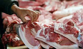 發(fā)改委發(fā)布生豬價(jià)格過度下跌三級預(yù)警 ，豬價(jià)真的要“奔5”？