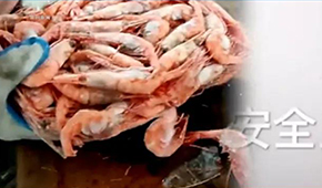 生產(chǎn)日期隨意改、過期蝦換包裝秒變合格品……味庫海鮮攤上事了，曾獲6輪融資