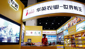  華英農業(yè)正式進入破產(chǎn)重整，“世界鴨王”能否浴火重生？