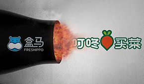 盒馬“炮轟”叮咚買菜，生意不好做大家都暴躁了？