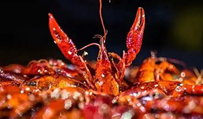 安井再次出手布局，小龍蝦已妥妥成為預(yù)制菜行業(yè)大單品