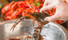 疫情之下，餐飲圈為啥都賣起了小龍蝦？