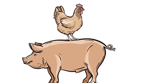 國慶長假后豬、雞價格雙升，發(fā)改委稱近期將投放第五批中央豬肉儲備