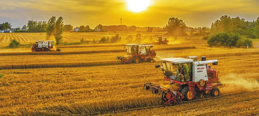 全國(guó)7/10的餃子、3/5的湯圓、1/2的火腿腸…河南這樣承包國(guó)人餐桌