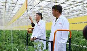 馬家廚房？馬家秘制老鴨煲？馬云的“假動作”為何讓市場興奮？